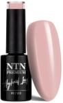 NTN Premium UV/LED 04#