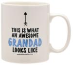 Celebrations Cana cadou pentru bunic Awesome Grandad (JOHB118GD)