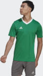 ADIDAS Entrada 22 Jersey L fehér|zöld