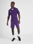 HUMMEL Póló Hmlcore Multisport Férfi Lélegző Gyorsan száradó Hummel S fehér|kék|vörös