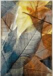 Kolibri Covor Modern, Kolibri 11288, Diverse Dimensiuni, 2200 gr mp (2211698644805) Covor
