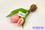  Hagymás gumi tulipán 2 bimbós fejű 24/18 cm - Rózsaszín