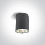 ONE Light plafoniera de exterior 1x75 W antracit 67132C/AN (67132CAN)