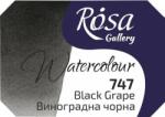 Rosa 343747 Vopsea acuarela 747 Black Grape 2, 5 ml 1 buc (<![CDATA[343747]]>)