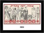 GB eye Afiș înrămat GB eye Animation: One Piece - Straw Hat Crew (GBYDCO058)