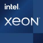 Intel Xeon E-2378G 8-Core 2.8GHz LGA1200 OEM Tray (CM8070804494916) Processzor