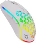 AQIRYS Polaris White (AQRYS_POLARISWH) Mouse