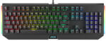 AVAX FS01 Full size (5999574480811)