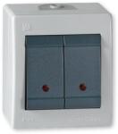 ALING-CONEL Aling-Conel POWER - 105 kétáramkörös kapcsoló, 10A 250V, IP44, jelzőfényes, szürke/antracit (2521.1A) (2521.1A)