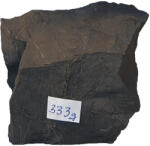 Shungite Piatra foarte mare vindecatoare Shungite 330g-339g, ecranare impotriva radiatiilor si protectie electromagnetica (PFMSh330G)