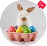 Gyertyakovács Nyuszi pöttyös tojások között tortaostya