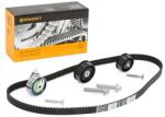 Continental Ctam Set curea de distributie CONTINENTAL CTAM CT975K3 (CT975K3)