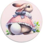  Nyomtatott fa tábla - Kerti nyuszi popi koszorú közép 11, 8cm - kosarbolt