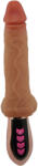 LESO Vibrator Leso Handle Thrust Swing 28cm Flesh Vibrator