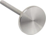 Global Fashion Disc de pedichiură, inteligent, Diamond Services, diametru 15 mm, 1 buc