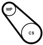 Continental Ctam Pompa apa + Set curea transmisie cu caneluri CONTINENTAL CTAM 3PK725 ELAST WP1 (3PK725 ELAST WP1)