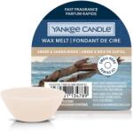 Yankee Candle Yankee Candle® Amber & Sandalwood mini viasz 22 g