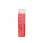 Paddywax Cactus Flower Spark "Celebrate" nagy üveggyertya 300 g