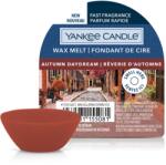 Yankee Candle Autumn Daydream mini viasz 22 g