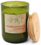 Paddywax Pomegranate & Currant Eco üveggyertya 226 g