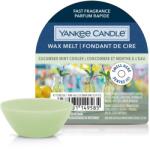 Yankee Candle Yankee Candle® Cucumber Mint Cooler mini viasz 22 g