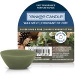 Yankee Candle Yankee Candle® Silver Sage & Pine mini viasz 22 g