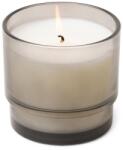 Paddywax Palo Santo & Sage Al Fresco kis üveggyertya 198 g