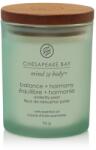 Chesapeake Bay balance + harmony (waterlily pear) kis üveggyertya 96 g