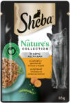 Sheba Nature's Collection nedves macskaeledel - pulyka 85 g