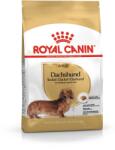 Royal Canin Hrana Pentru Caini Royal Canin Dachshund Adult 1, 5kg (3182550717335)