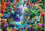 Bluebird Puzzle 90906 - Tropical Hummingbirds - 1000 db-os puzzle (90906)