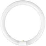 Fulgur Tub fluorescent YH G10q/28W/230V 6500K - Fulgur 03045 d. 23 cm (FG03045)
