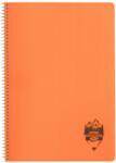 DACO Caiet A4 cu spira si coperta plastic Daco CT496AR, 96 file, 70 g/mp, Matematica, Portocaliu (CT496AR/PORTOCALIU)