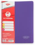 DACO Caiet A4 cu spira, 120 file, 4 subiecte DACO CT5202, 65 g/mp, coperta plastic, Mov (CT5202/MOV)