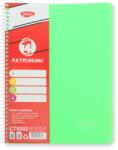 DACO Caiet A4 cu spira, 120 file, 4 subiecte DACO CT5202, 65 g/mp, coperta plastic, Verde (CT5202/VERDE)