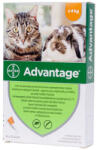 BAYER Pipeta antiparazitara Advantage pentru pisici iepuri , 4 kg ( 1 pipeta )