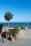 House Nordic Изкуствено дърво в саксия Fig tree (9501110)