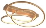 TRIO Darvin arany LED mennyezeti lámpa (TRI-649110179) LED 1 izzós IP20 (649110179)