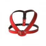 Exotic-K Ham L1 Piele Captusit 32-40 cm 16 mm - Rosu