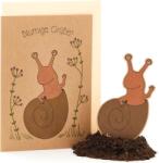 Die Stadtgärtner Virágos üdvözlet" - Virágzó üdvözlőlap - 1 db