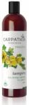 Carpathia Herbarium Carpathia Fructus - hajerősítő sampon Egres 350 ml