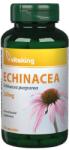 Vitaking Extract de echinacea 250mg, 90 capsule, Vitaking