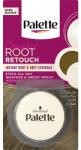 Palette Corector pentru acoperirea firelor albe 7-0 Blond Inchis Compact Root Retouch, 3g, Palette