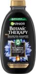 Garnier Sampon Magnetic Charcoal Botanic Therapy, 250ml, Garnier