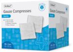 Dr. Max Comprese sterile 10cm x 10cm, 2 bucati