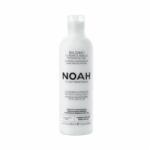 Noah Balsam natural nutritiv si hidratant cu mango (2.1), 250ml, Noah