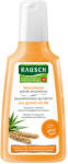Rausch Sampon nutritiv after-sun cu germeni de grau, 200ml, Rausch