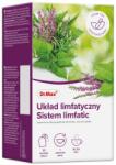 Dr. Max Ceai Sistem Limfatic, 20 plicuri