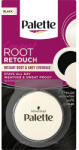 Palette Corector pentru acoperirea firelor albe 1-0 Negru Compact Root Retouch, 3g, Palette