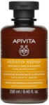 APIVITA Hair Sampon reparator, 250ml